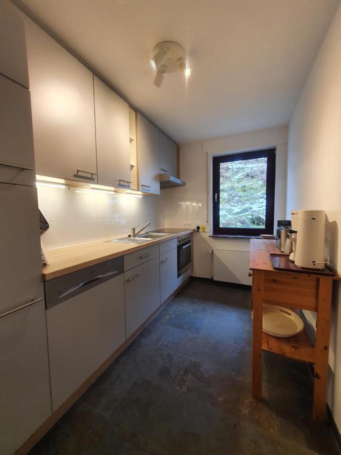 Sauerthal Grosses Ferienhaus Sauerburgblick מראה חיצוני תמונה