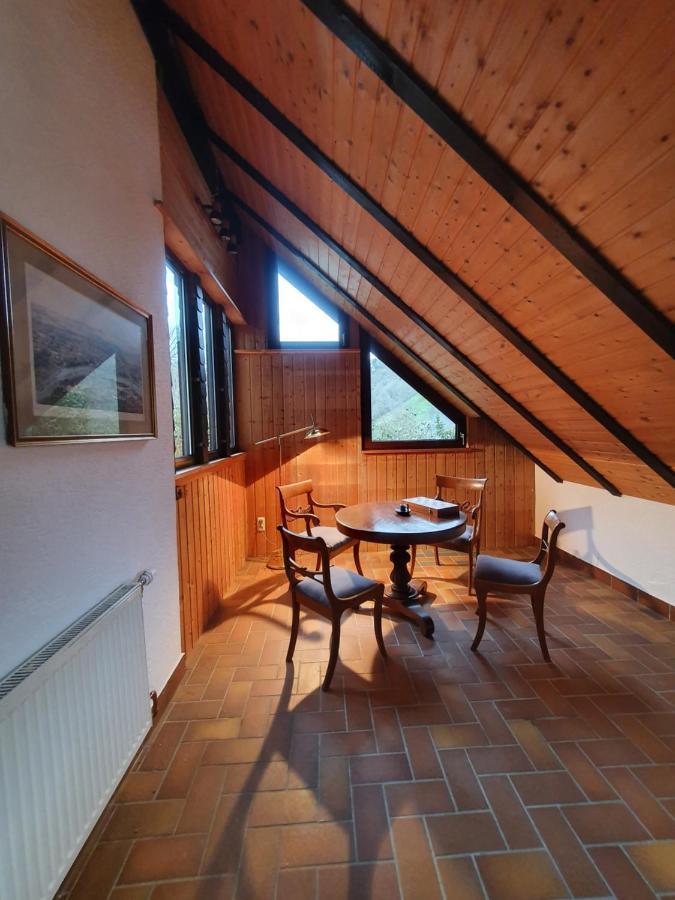 Sauerthal Grosses Ferienhaus Sauerburgblick מראה חיצוני תמונה