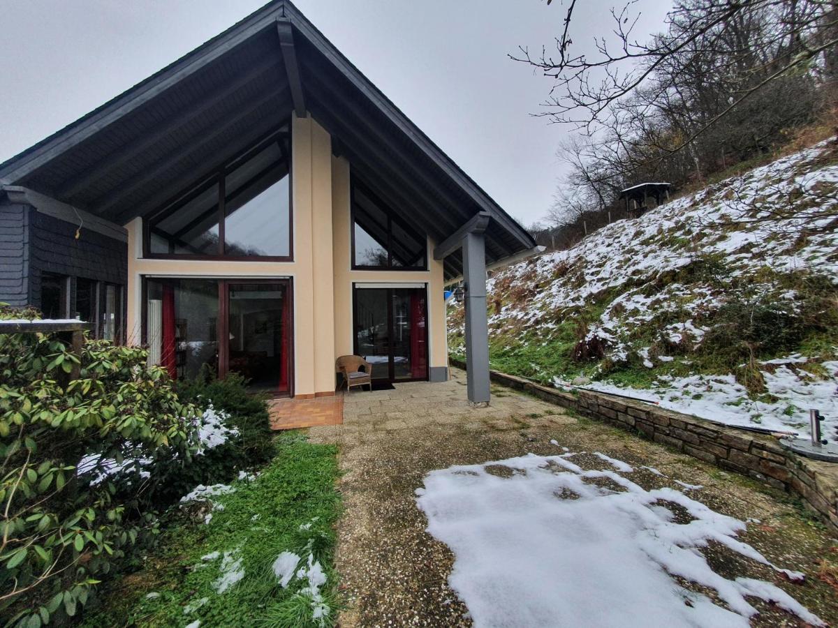 Sauerthal Grosses Ferienhaus Sauerburgblick מראה חיצוני תמונה